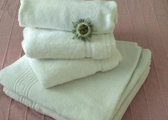 Chambres Les Passiflores